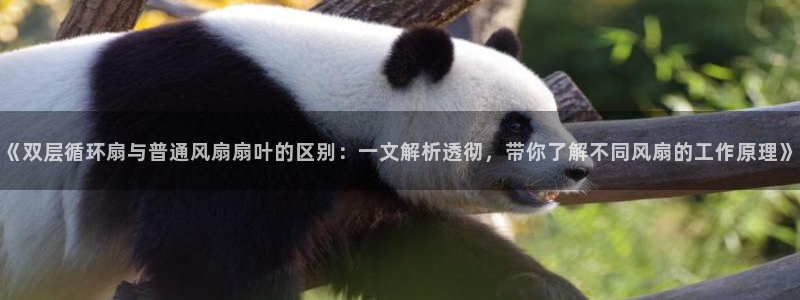凯发k8官方网娱乐官方真：《双层循环扇与普通风扇扇叶的区别：一文解析透彻，带你了解不同风扇的工作原理》