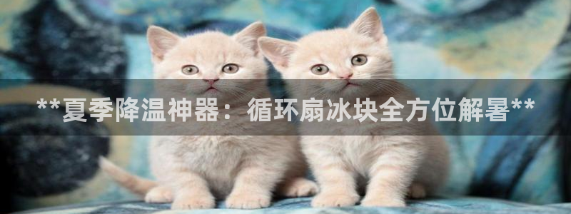 凯发线上官方网站下载网址：**夏季降温神器：循环扇冰块全方位解暑**