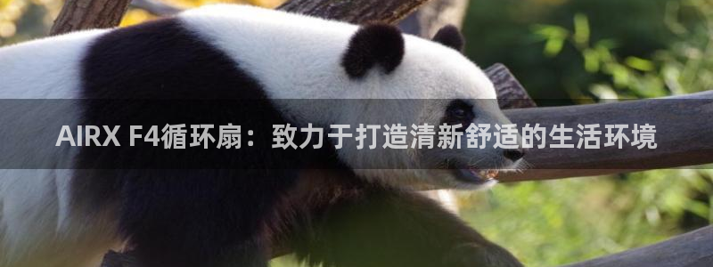 凯发k873：AIRX F4循环扇：致力于打造清新舒适的生活环境