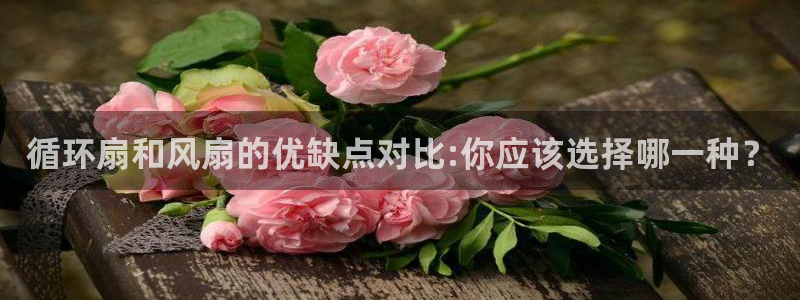 凯发平台开户：循环扇和风扇的优缺点对比:你应该选择哪一种？