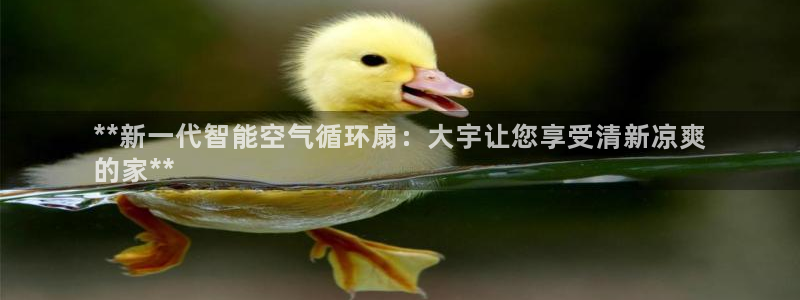 凯发k8娱乐注册登录：**新一代智能空气循环扇：大宇让您享受清新凉爽
的家**