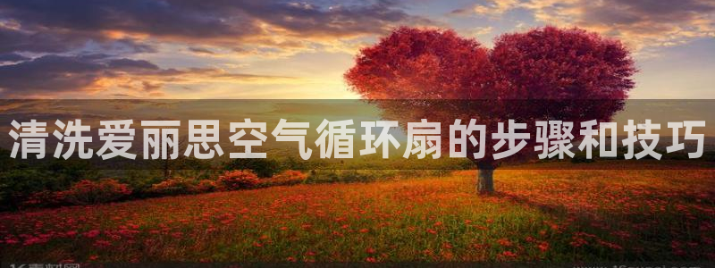 凯发k8国际官网可靠吗：清洗爱丽思空气循环扇的步骤和技巧