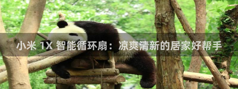 凯发k8旗舰店：小米 1X 智能循环扇：凉爽清新的居家好帮手