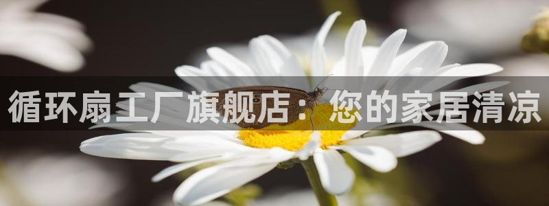 凯发官方网站是多少：循环扇工厂旗舰店：您的家居清凉