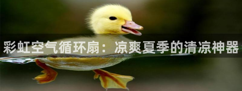 凯发官网平台：彩虹空气循环扇：凉爽夏季的清凉神器
