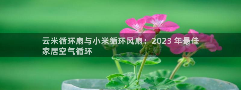 凯发k8是不是真的可靠：云米循环扇与小米循环风扇：2023 年最佳
家居空气循环
