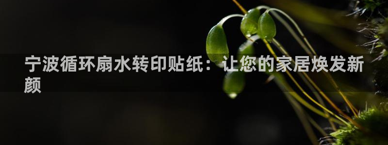 凯发k8网页登录：宁波循环扇水转印贴纸：让您的家居焕发新
颜