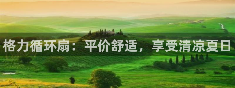 凯发k8娱乐是哪个国家的：格力循环扇：平价舒适，享受清凉夏日