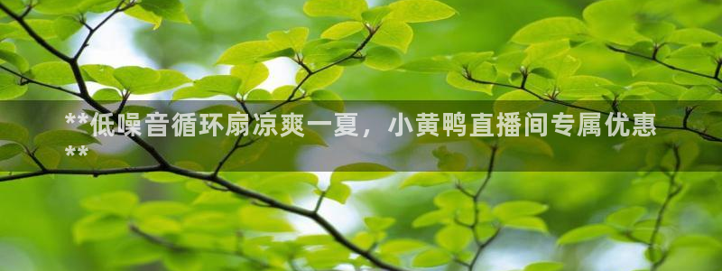 凯发国际网址官网首页：**低噪音循环扇凉爽一夏，小黄鸭直播间专属优惠
**