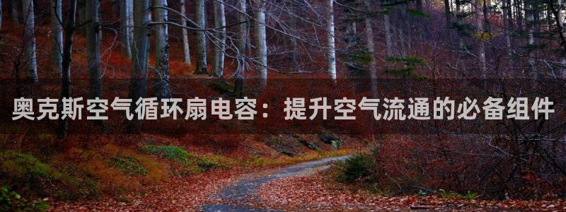 凯发k8网站是多少：奥克斯空气循环扇电容：提升空气流通的必备组件