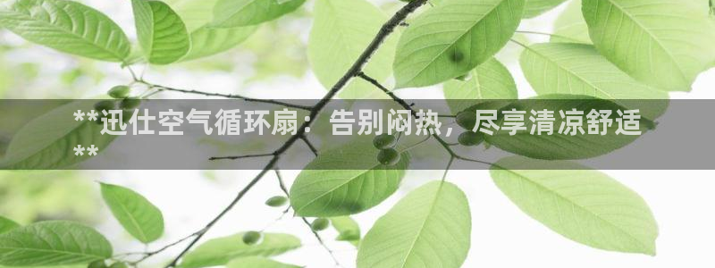 凯发网网站：**迅仕空气循环扇：告别闷热，尽享清凉舒适
**