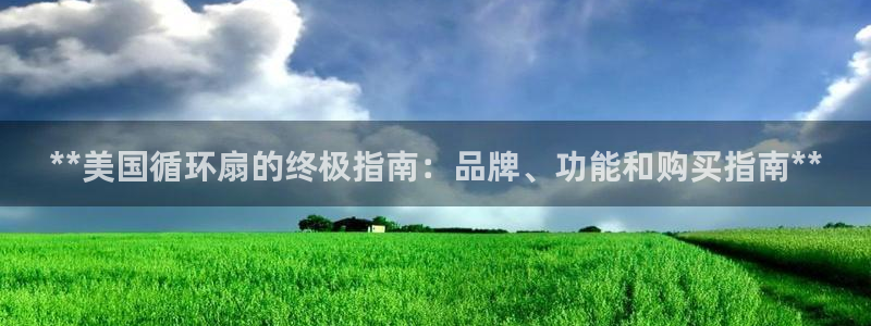 凯发平台敌7O777：**美国循环扇的终极指南：品牌、功能和购买指南**