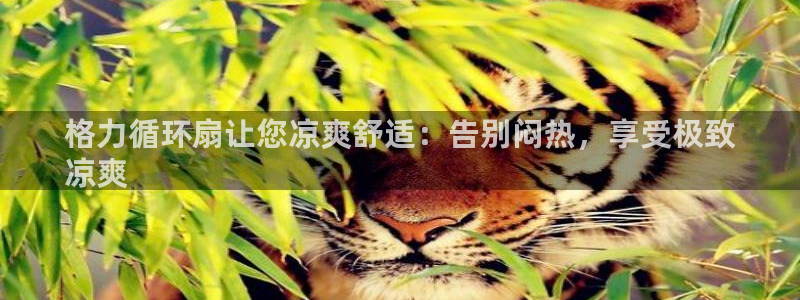 凯发官方首页：格力循环扇让您凉爽舒适：告别闷热，享受极致
凉爽