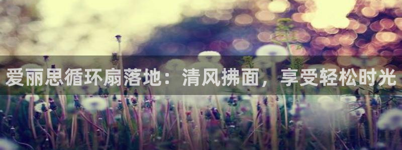 凯发手机app官网：爱丽思循环扇落地：清风拂面，享受轻松时光