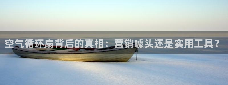 凯发娱乐唯一官网：空气循环扇背后的真相：营销噱头还是实用工具？