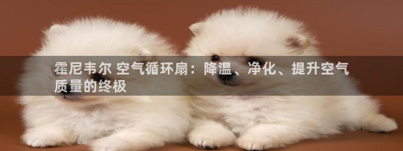 凯发国际网址官网：霍尼韦尔 空气循环扇：降温、净化、提升空气
质量的终极