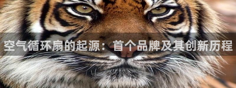 凯发官网下载客户端：空气循环扇的起源：首个品牌及其创新历程