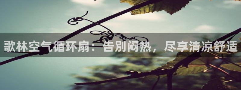 凯发k8ag旗舰厅网址：歌林空气循环扇：告別闷热，尽享清凉舒适