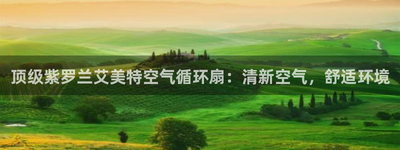 国际凯发k8真人版旗舰厅：顶级紫罗兰艾美特空气循环扇：清新空气，舒适环境