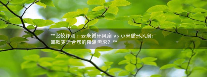 凯发线上客户端免费下载：**比较评测：云米循环风扇 vs 小米循环风扇：
哪款更适合您的降温需求？**