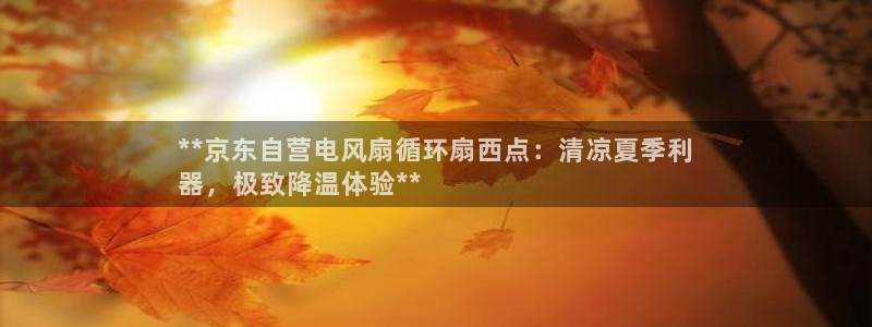 凯发k8app下载：**京东自营电风扇循环扇西点：清凉夏季利
器，极致降温体验**