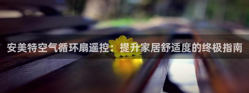 凯发网站是多少：安美特空气循环扇遥控：提升家居舒适度的终极指南