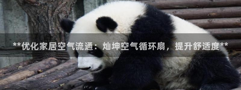 凯发k8登录首页：**优化家居空气流通：灿坤空气循环扇，提升舒适度**
