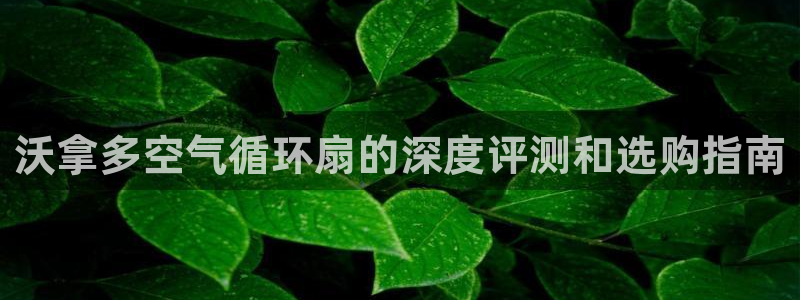 凯发国际k8官网登录：沃拿多空气循环扇的深度评测和选购指南