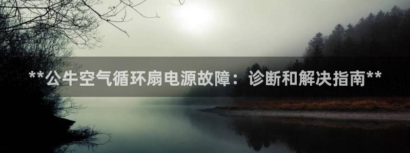 凯发k8国际 不能提款了：**公牛空气循环扇电源故障：诊断和解决指南**