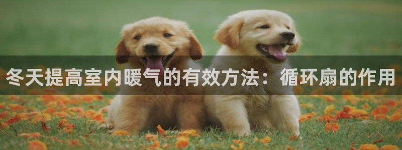 凯发k8手机是正品吗多少钱：冬天提高室内暖气的有效方法：循环扇的作用