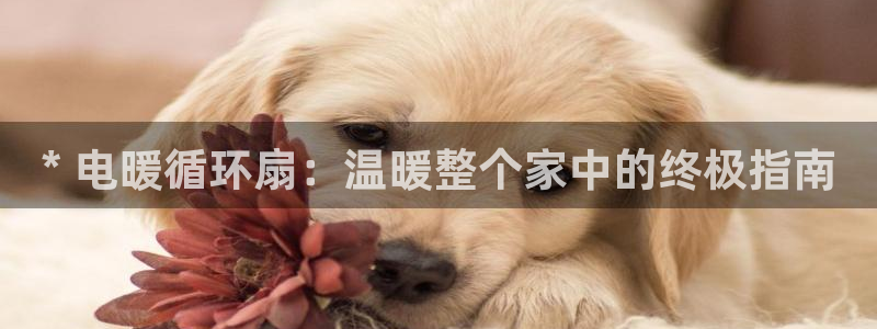 凯发国际是什么投资平台：* 电暖循环扇：温暖整个家中的终极指南