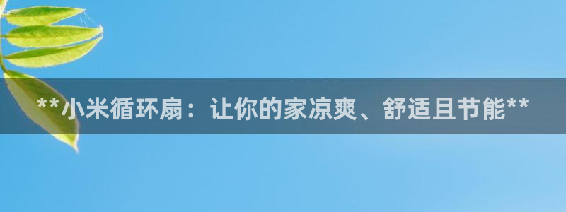 凯发网网站：**小米循环扇：让你的家凉爽、舒适且节能**