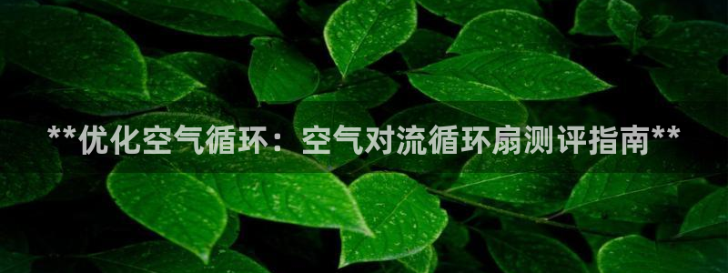 凯发国际网址官网查询：**优化空气循环：空气对流循环扇测评指南**