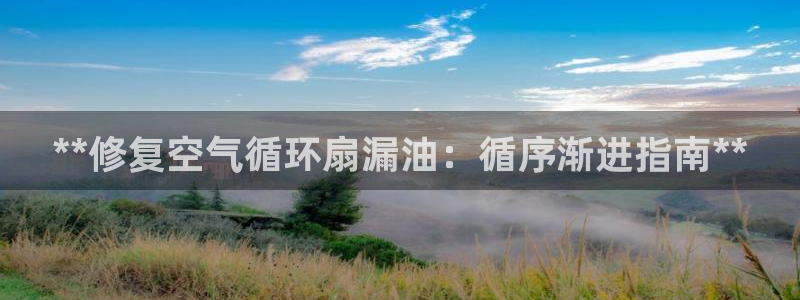 凯发k8旗舰厅app下载可靠送38元：**修复空气循环扇漏油：循序渐进指南**