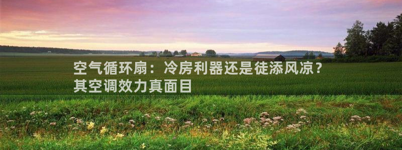 k8凯发官方找就送38：空气循环扇：冷房利器还是徒添风凉？
其空调效力真面目