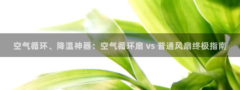 凯发官网入口首页：空气循环、降温神器：空气循环扇 vs 普通风扇终极指南