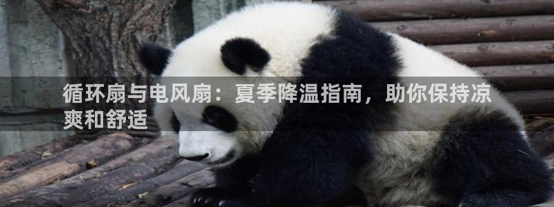凯发k8娱乐平台下载：循环扇与电风扇：夏季降温指南，助你保持凉
爽和舒适