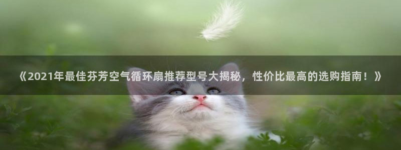 凯发国际网站：《2021年最佳芬芳空气循环扇推荐型号大揭秘，性价比最高的选购指南！》