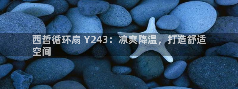 凯发k8娱乐要访问kf6819：西哲循环扇 Y243：凉爽降温，打造舒适
空间
