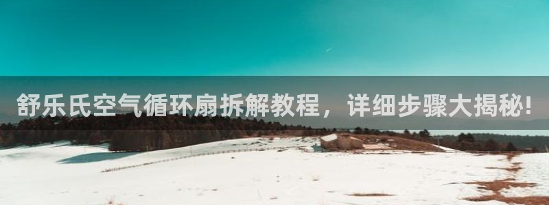 凯发国际怎么赚钱：舒乐氏空气循环扇拆解教程，详细步骤大揭秘!
