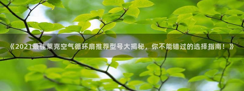 凯发k8手机是正品吗：《2021最佳莱克空气循环扇推荐型号大揭秘，你不能错过的选择指南！》