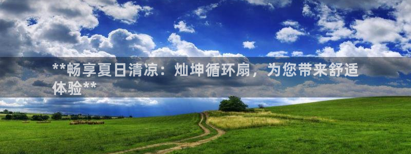 凯发官网平台：**畅享夏日清凉：灿坤循环扇，为您带来舒适
体验**