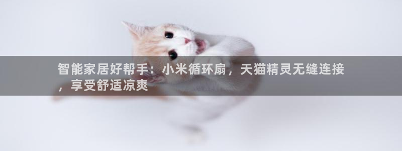 凯发国际真人：智能家居好帮手：小米循环扇，天猫精灵无缝连接
，享受舒适凉爽