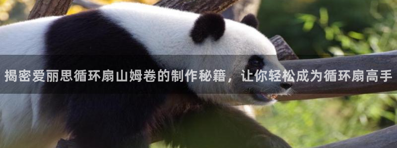 凯发k8娱乐平台网址：揭密爱丽思循环扇山姆卷的制作秘籍，让你轻松成为循环扇高手