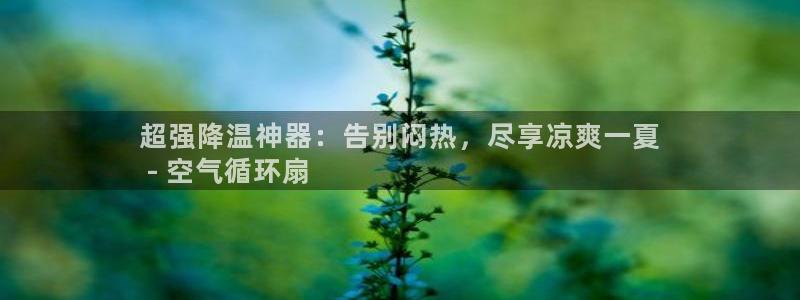 凯发旗舰平台：超强降温神器：告别闷热，尽享凉爽一夏
 - 空气循环扇