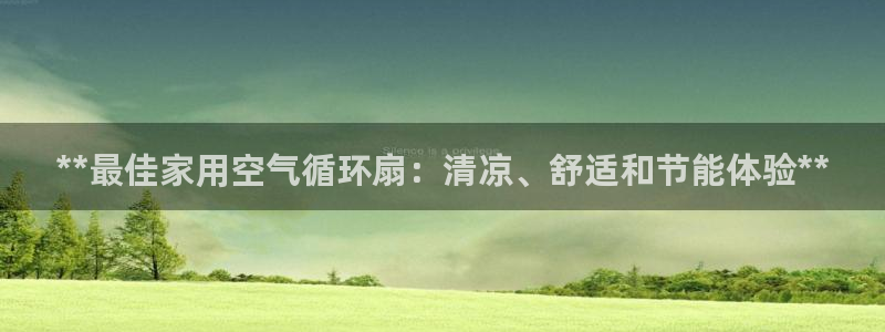 凯发k8国际首页登录：**最佳家用空气循环扇：清凉、舒适和节能体验**