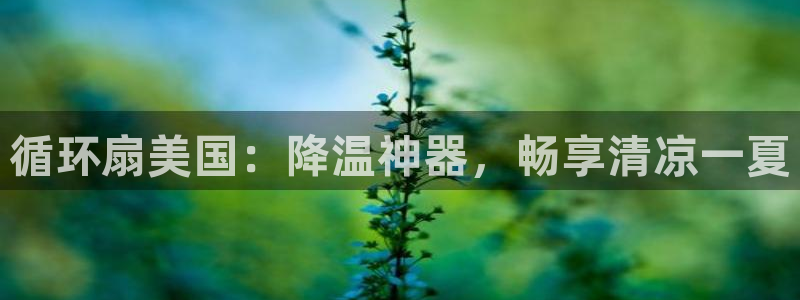 凯发一触即发：循环扇美国：降温神器，畅享清凉一夏