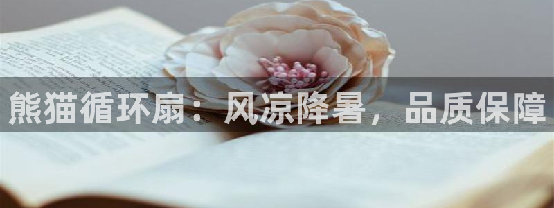 凯发平台医7O777：熊猫循环扇：风凉降暑，品质保障