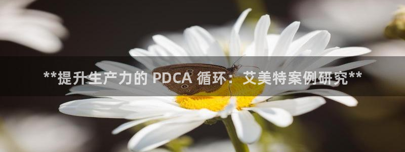 凯发网娱乐官网国际：**提升生产力的 PDCA 循环：艾美特案例研究**