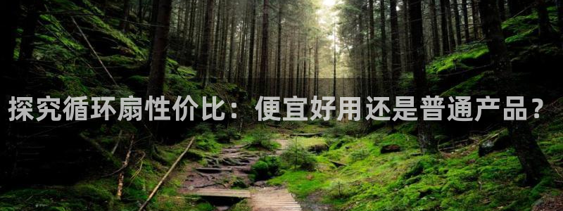 凯发最新官方app下载：探究循环扇性价比：便宜好用还是普通产品？